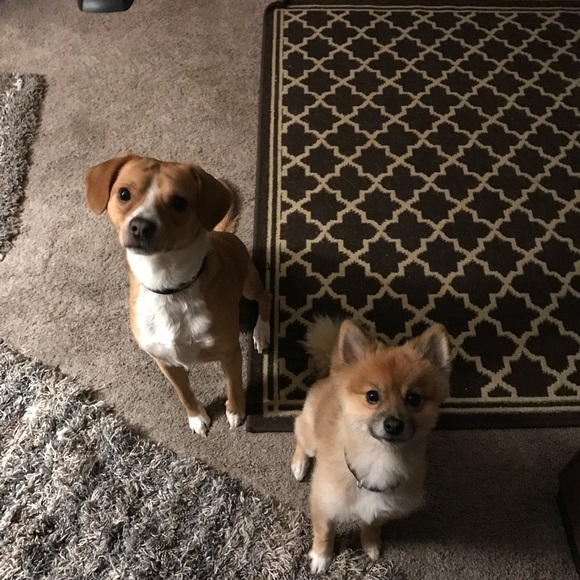 💕💕LIVE SHOW UNLISTED ITEMS💕💕 - Picture 8 of 12